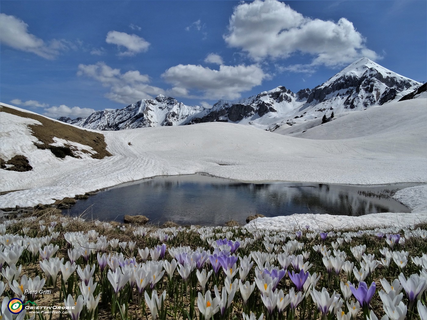 73 Laghetto in disgelo, pascoli in estese fioriture di Crocus vernus, Cavallo e Pegerolo ancora ben innevati.JPG